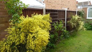 Modernisation Hertfordshire